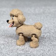 Poodle Dog Little