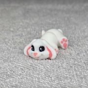 Bunny Rabbits Little