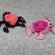 Rose Turtle Little