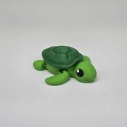 Sea Turtle Little