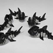 Shark Skeleton Little