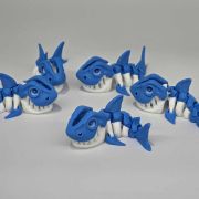 Shark Skeleton Little