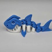 Shark Skeleton Little