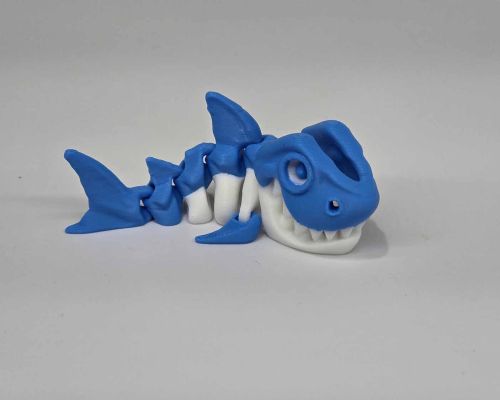 Shark Skeleton Little