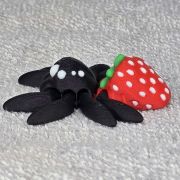 Strawberry Spider Little