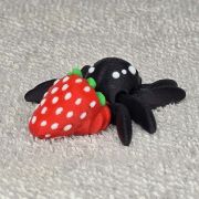 Strawberry Spider Little