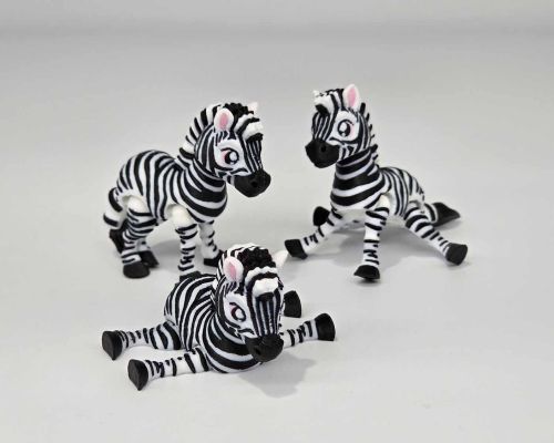 Zebra Little