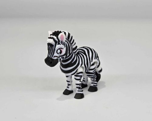 Zebra Little