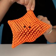Bat Sea Star Mesh Flexi