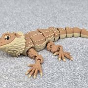 Bearded Dragon Medium