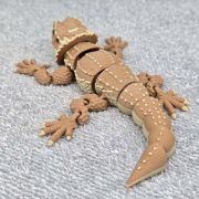 Bearded Dragon Medium