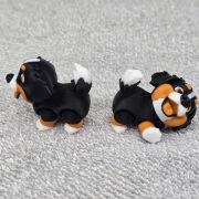 Bernese Puppy Little