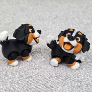 Bernese Puppy Little