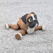 Boxer Dog Little