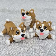 Corgi Dog Little