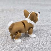 Corgi Dog Little