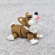 Corgi Dog Little