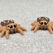 Donut Spider Little