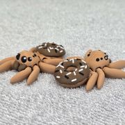 Donut Spider Little