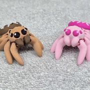 Donut Spider Little