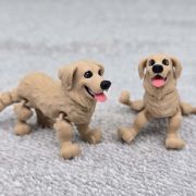 Golden Retriever Dog Little