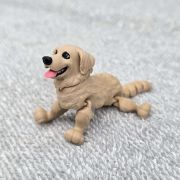 Golden Retriever Dog Little