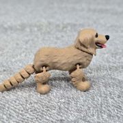 Golden Retriever Dog Little