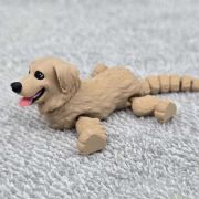 Golden Retriever Dog Little