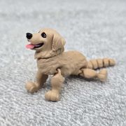 Golden Retriever Dog Little