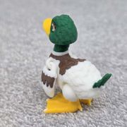 Duck Mallard Little