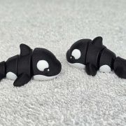 Orca Whale Little