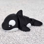 Orca Whale Little