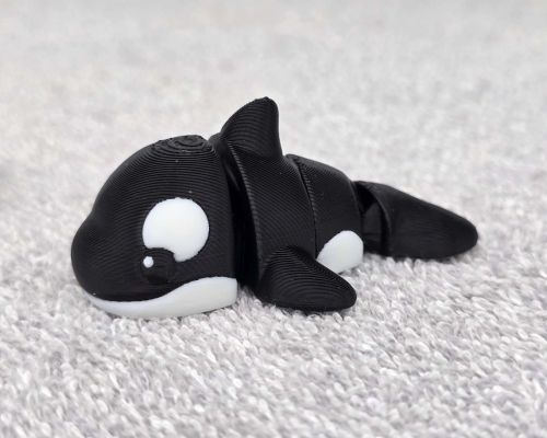 Orca Whale Little