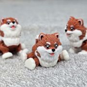 Pomeranian Dog Little