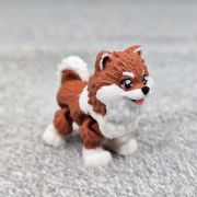 Pomeranian Dog Little