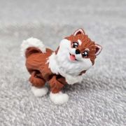 Pomeranian Dog Little