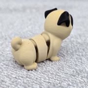 Pug Dog Little