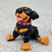 Rottweiler Dog Little