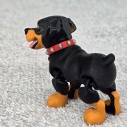 Rottweiler Dog Little