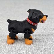 Rottweiler Dog Little