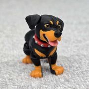 Rottweiler Dog Little