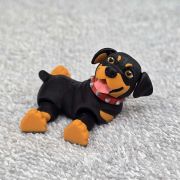 Rottweiler Dog Little