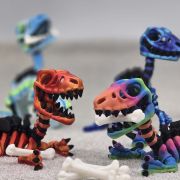 Velociraptor Skeleton Medium