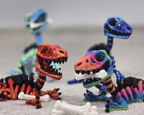 Velociraptor Skeleton Medium