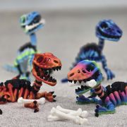 Velociraptor Skeleton Medium