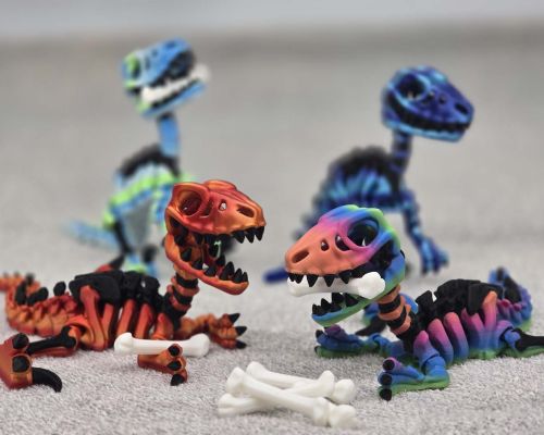 Velociraptor Skeleton Medium