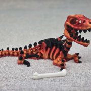 Velociraptor Skeleton Medium