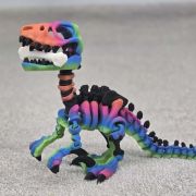 Velociraptor Skeleton Medium