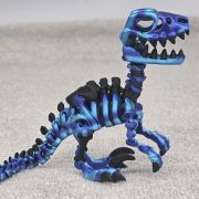 Velociraptor Skeleton Medium