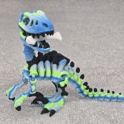 Velociraptor Skeleton Medium